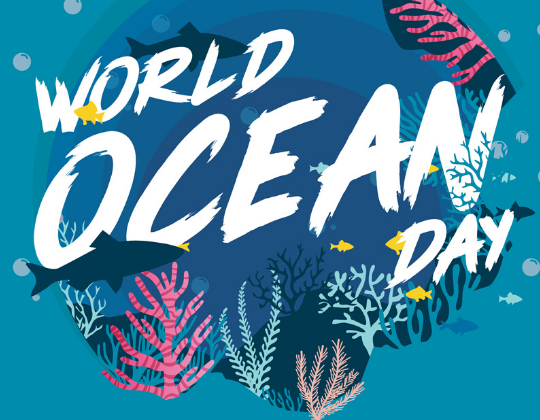 world-ocean-day-quiz